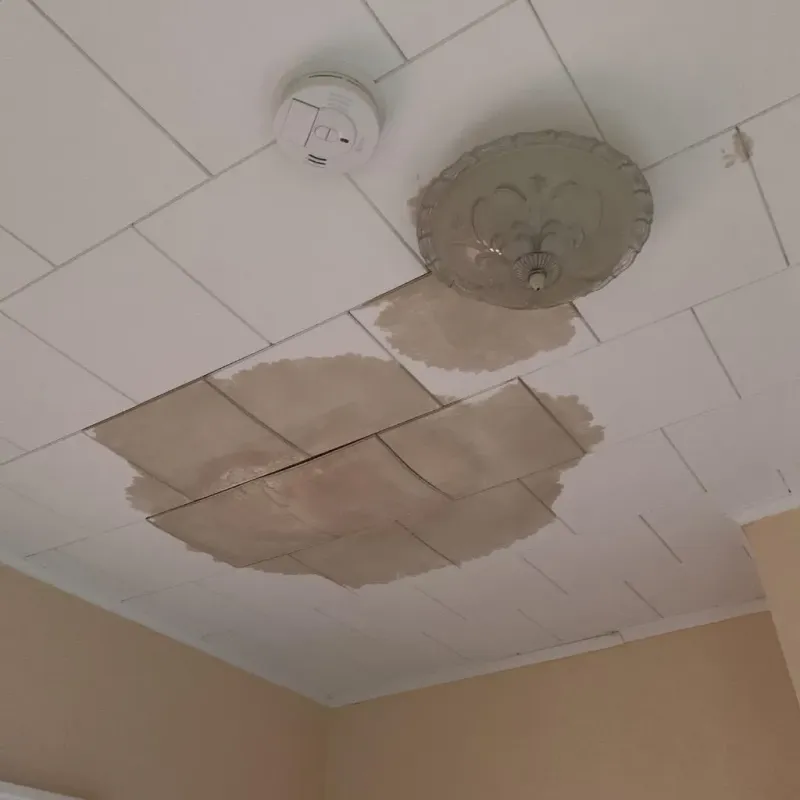 Ceiling Water Damage Repair in Falmouth, ME