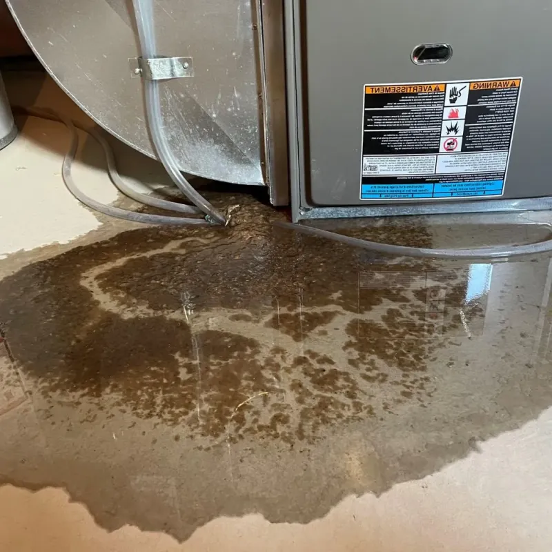 Pipe Burst and Leak Restoration in Falmouth, ME